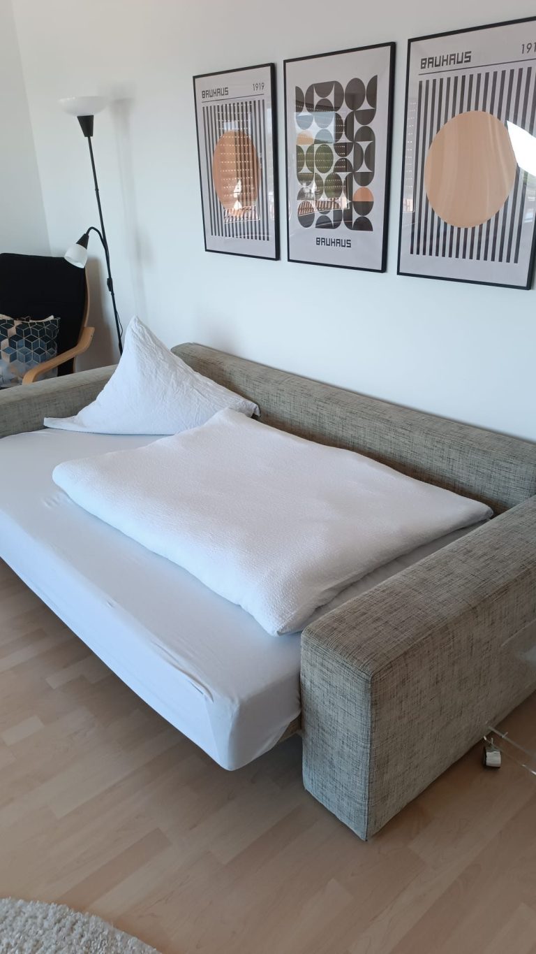 Gemütliches Schlafcouch in der Monteurunterkunft, Monteurwohnung, Monteurzimmer, Handwerkerzimmer, Messezimmer, Ferienwohnung in Kelkheim
